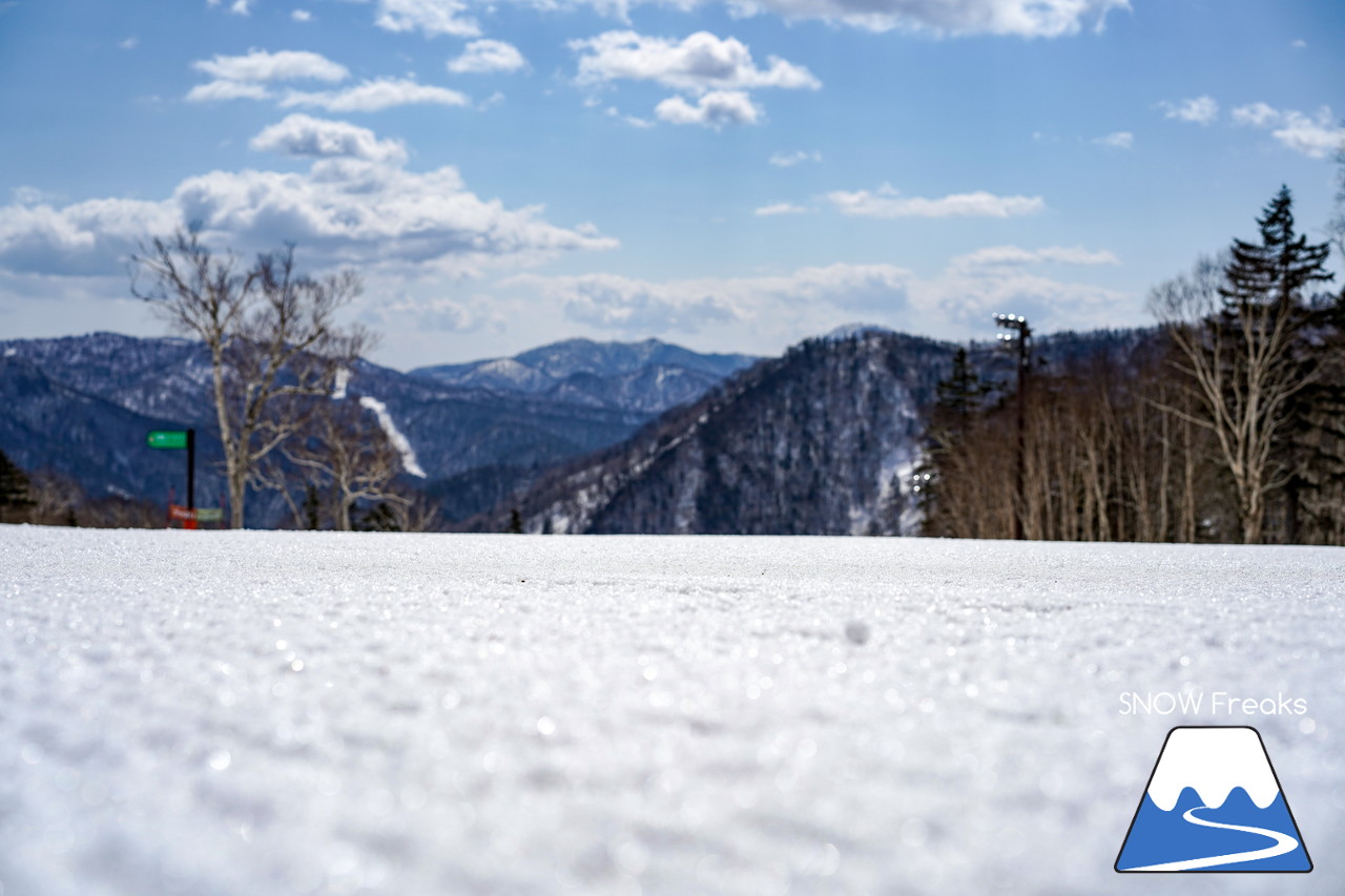 札幌国際スキー場 Mt.石井スポーツ ISHII SKI ACADEMY 校長・斉藤人之さんによる『斉藤塾』開講。本日のテーマは、「春雪！コブからスキーのたわみを楽しむ！！」(^^)v